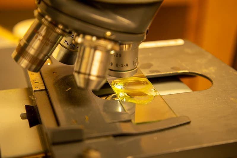 Pond Management Water Sample with Algae under Microscope