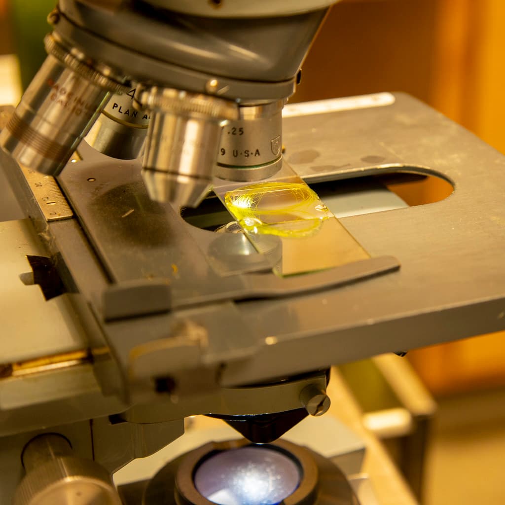 Pond Management Water Sample with Algae under Microscope