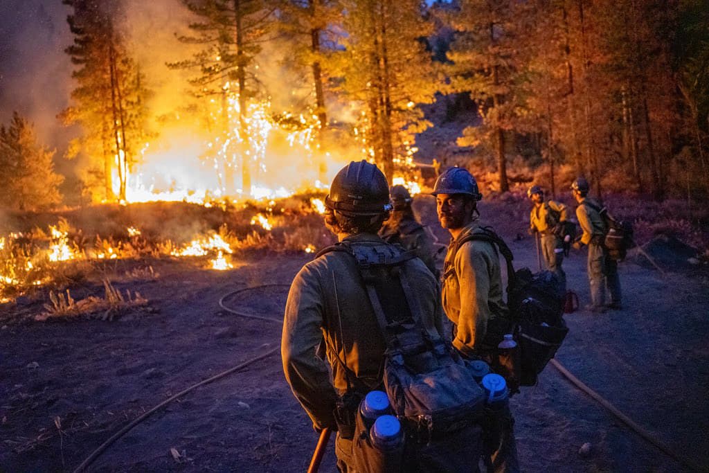 Ruby Mountain Hotshots