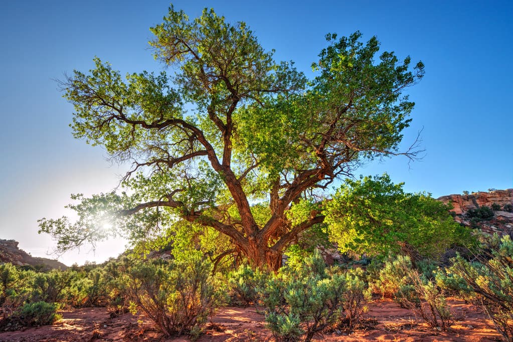 Grand Staircase-Escalante National Monument - 25th Anniversary