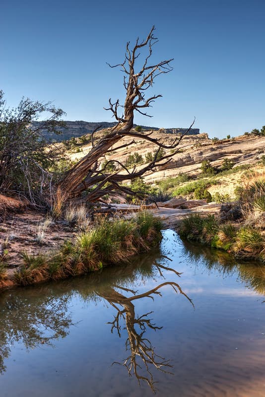 Grand Staircase-Escalante National Monument - 25th Anniversary