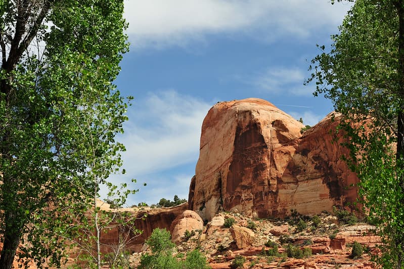 Grand Staircase-Escalante National Monument - 25th Anniversary