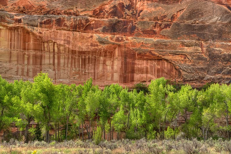 Grand Staircase-Escalante National Monument - 25th Anniversary