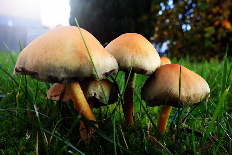 A group portrait