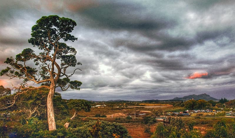 A moody sky