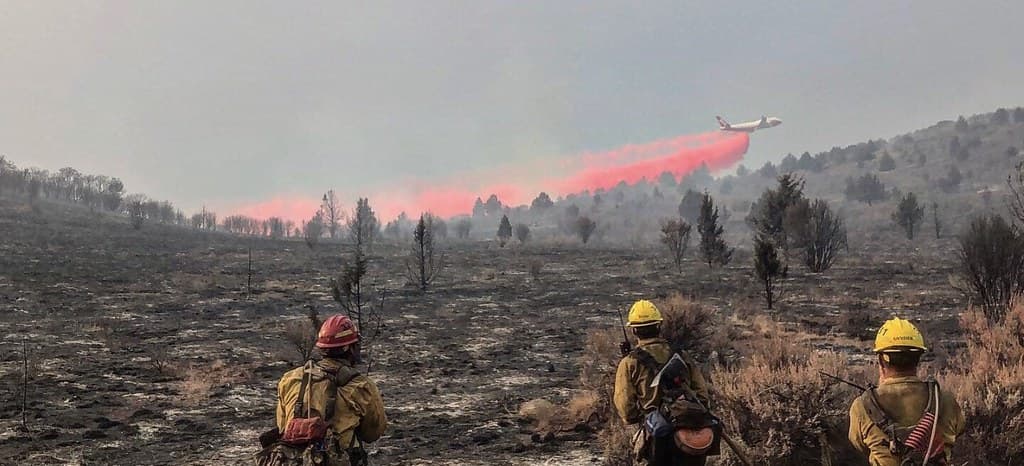 2021 BLM Fire Employee Photo Contest Category: Aircraft