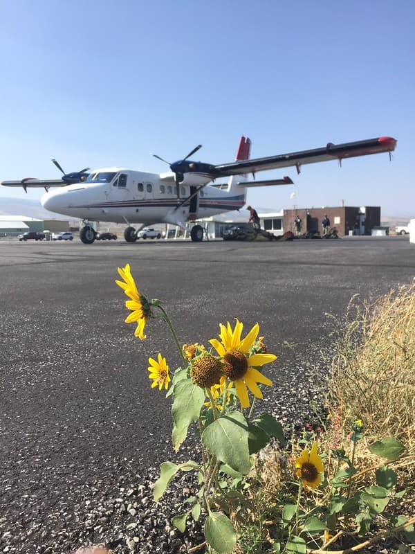 2021 BLM Fire Employee Photo Contest Category: Aircraft