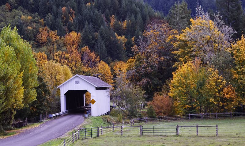 Nelson Mtn. covered bridge, Oregon