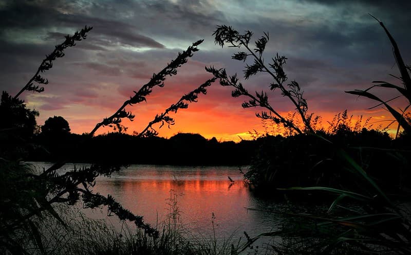 Fire in the Sky.