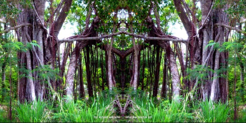 Dec, abondance, abstract