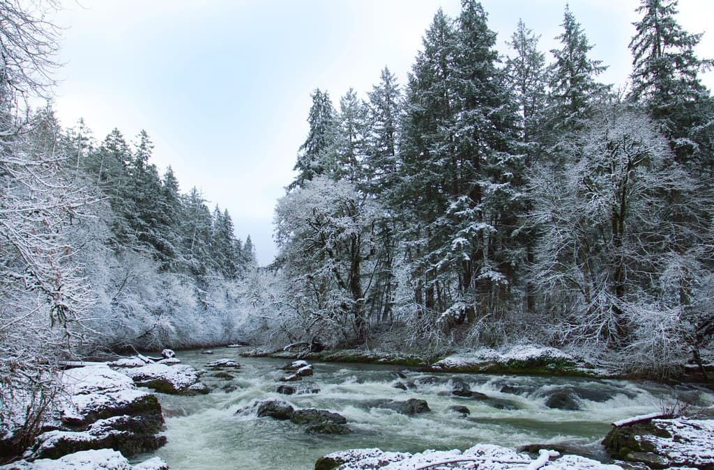Calapooia River in winter, Oregon