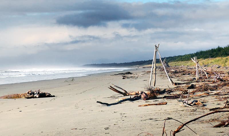 Driftwood beach.