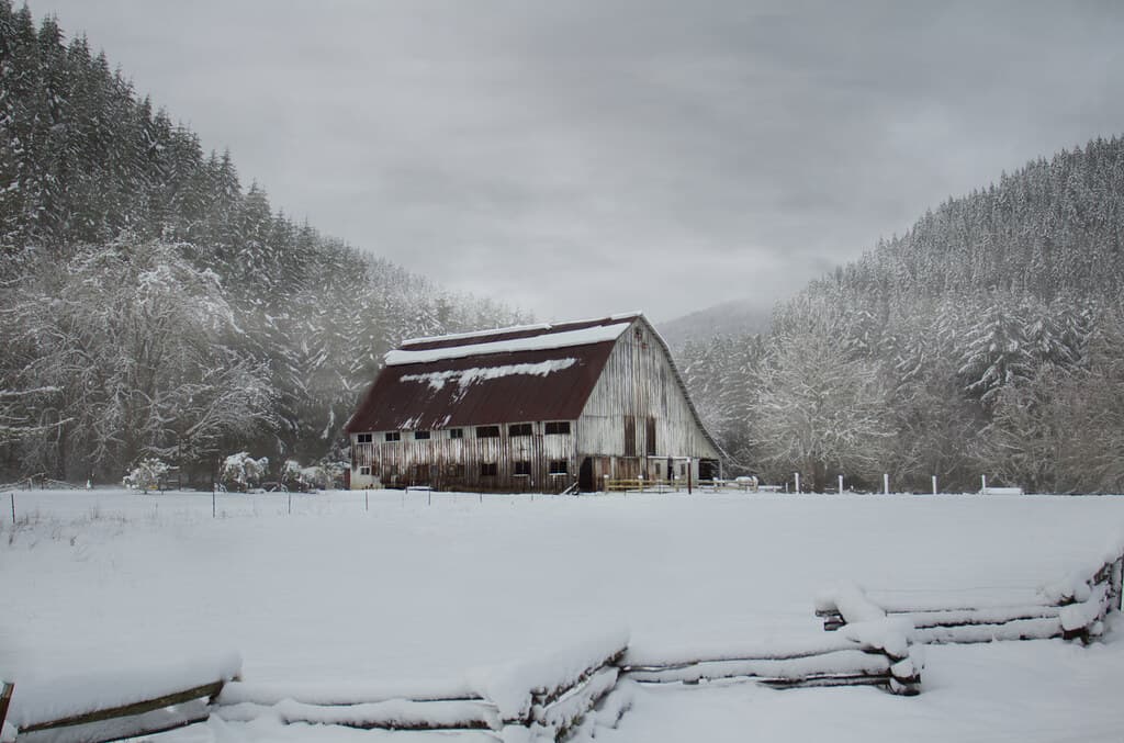 White barn in the snow, Coastal Range, Oregon