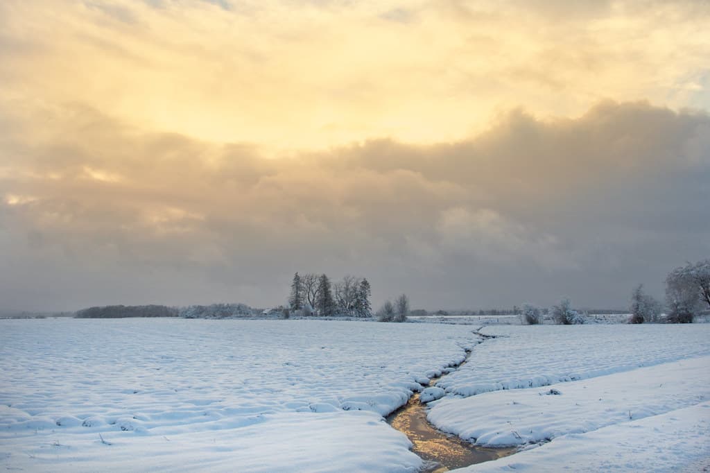Snow in the Willamette Valley, Oregon, late afternoon.