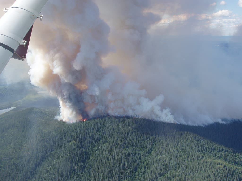2021 USFWS Fire Employee Photo Contest Category: Aircraft
