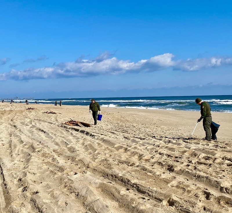 Beach Cleanup 02-14-2022