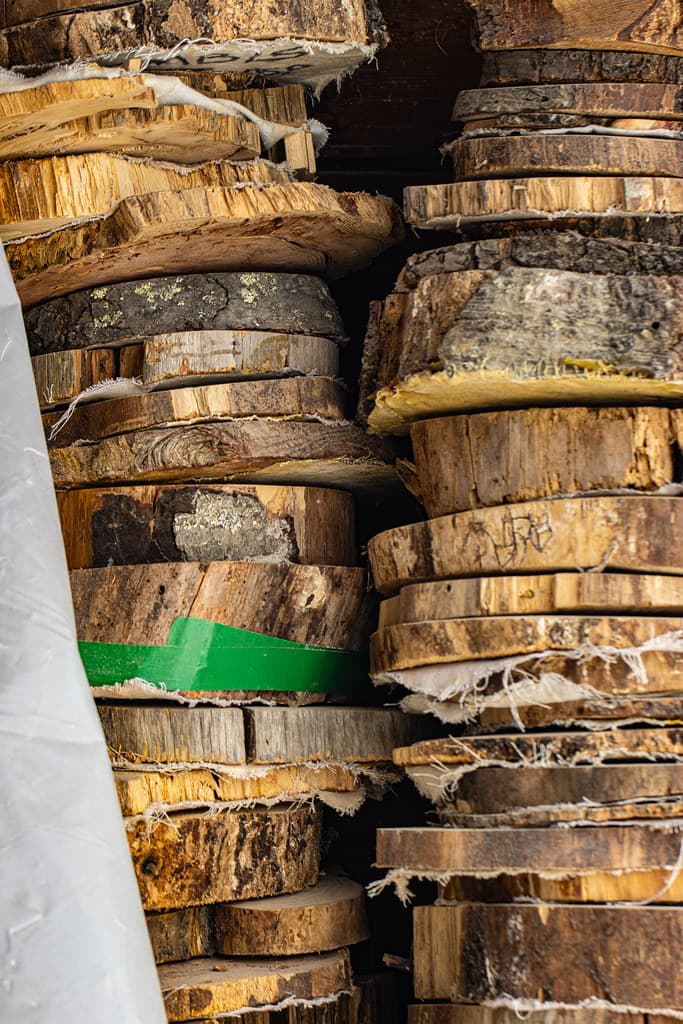 Tree 'Cookies' are used to study climate changes over time.