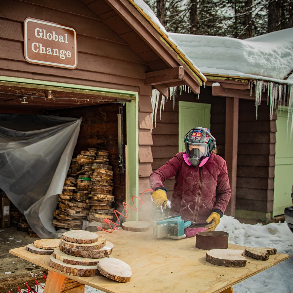 Tree 'Cookies' are used to study climate changes over time.