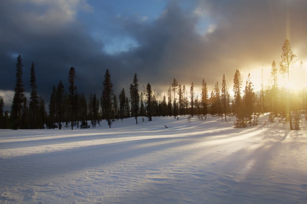 Long shadows on the snow near Mt. Bachelor, Oregon