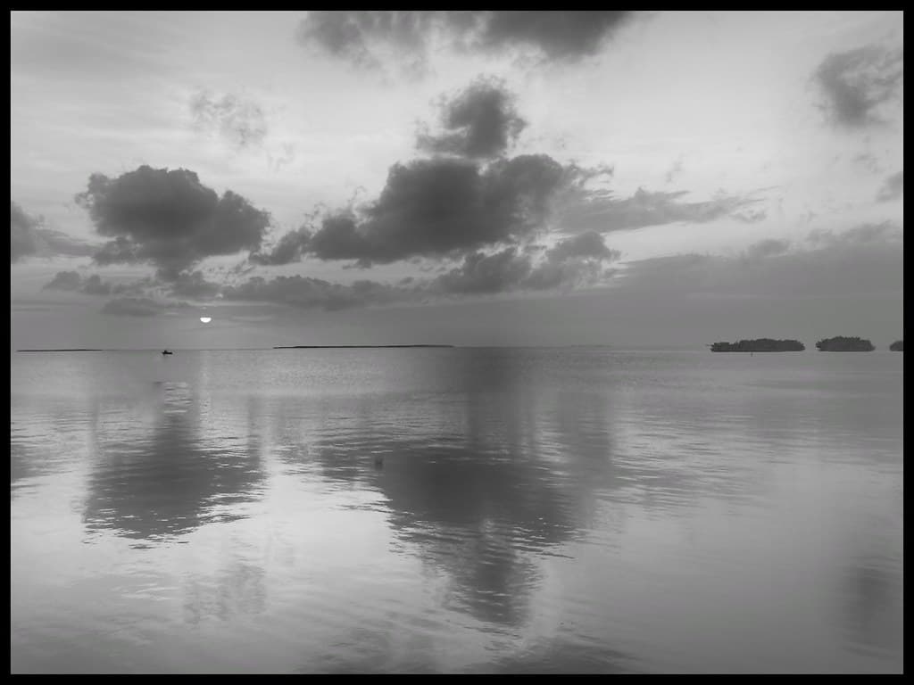 Light and Shadow