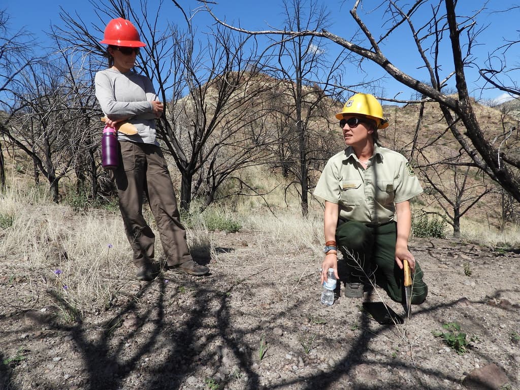 Fossil Creek Soil Monitoring