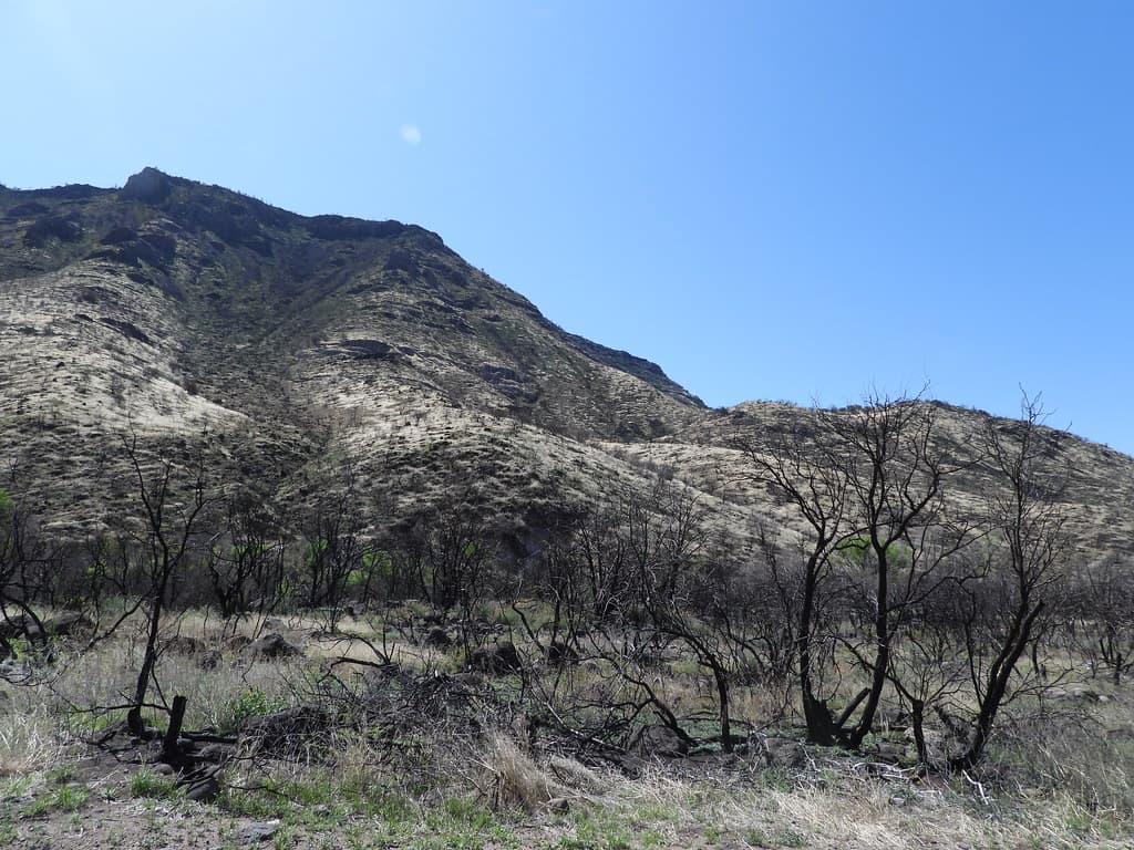 Fossil Creek Soil Monitoring