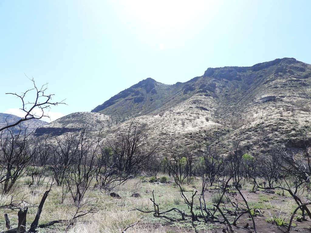 Fossil Creek Soil Monitoring