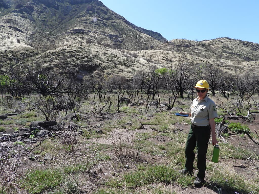 Fossil Creek Soil Monitoring