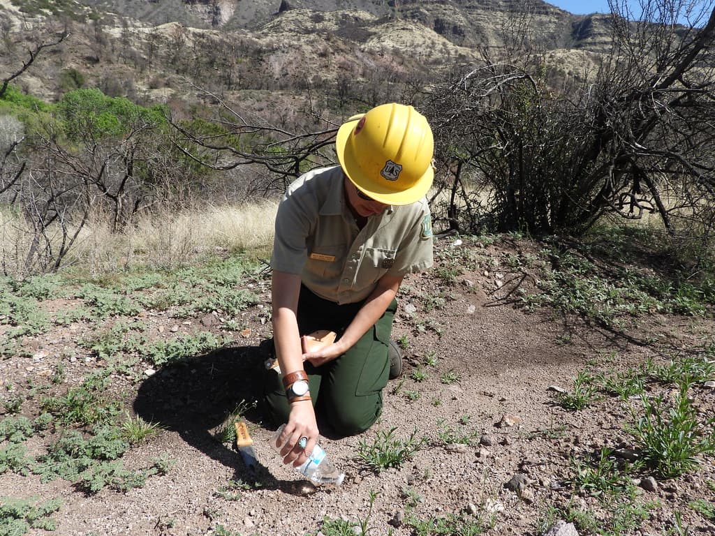 Fossil Creek Soil Monitoring