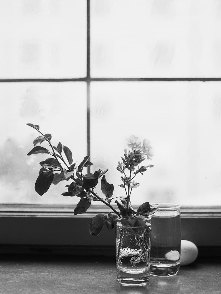 Window light