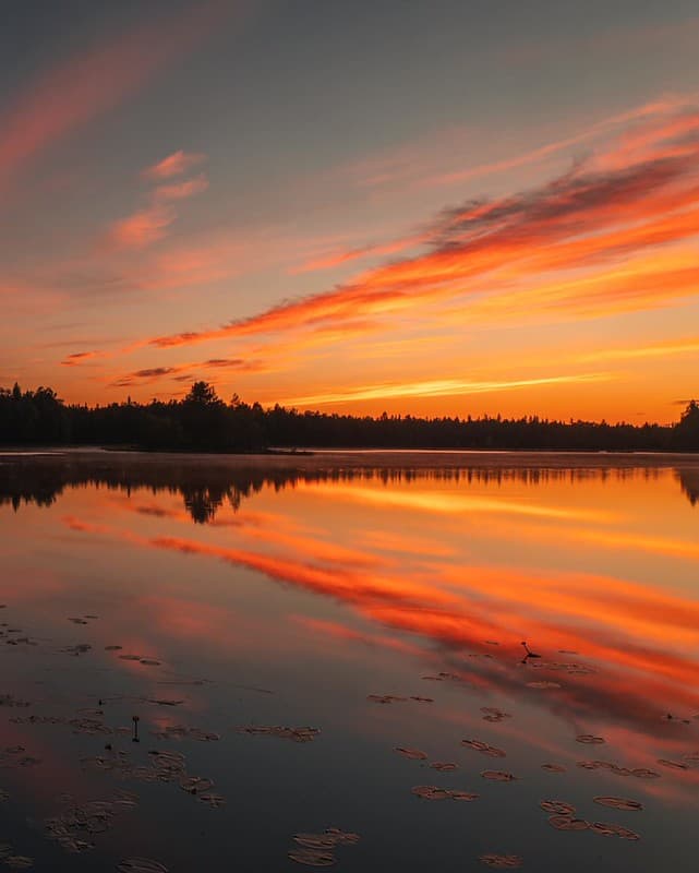 Orange sky