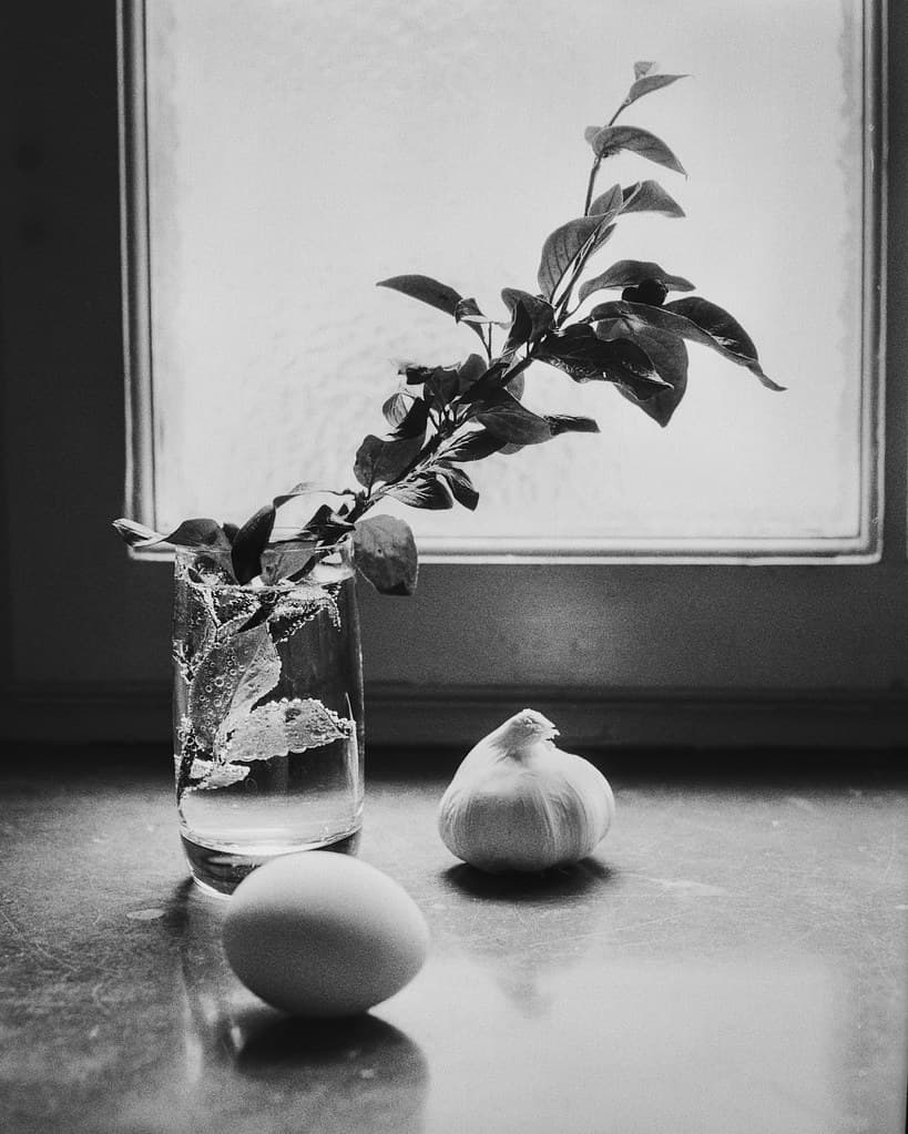 Window light II