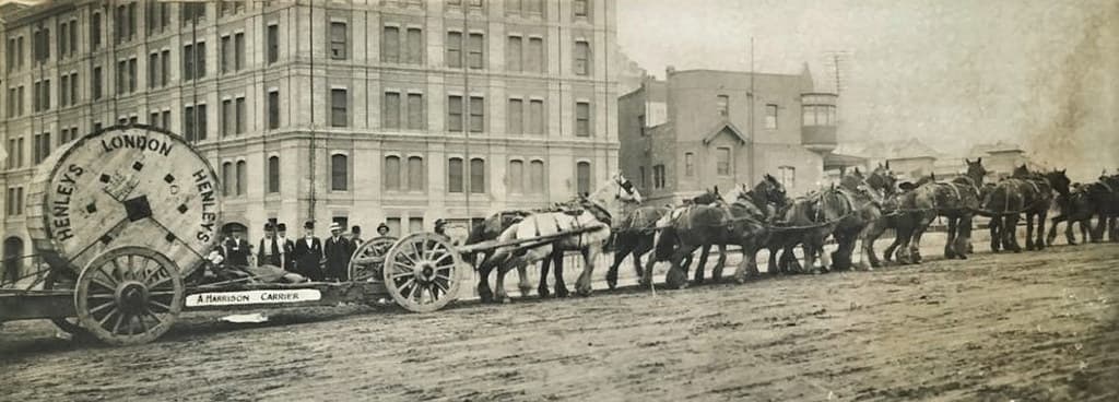 'HARRISON CARRIER' and CLYDESDALE HORSES, SYDNEY, N.S.W. - early 1900s