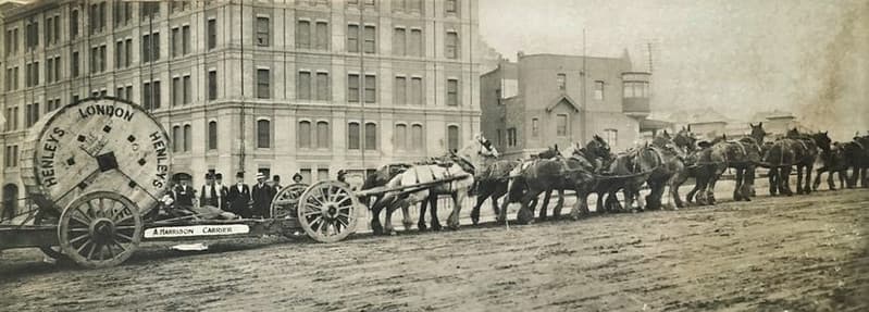 'HARRISON CARRIER' and CLYDESDALE HORSES, SYDNEY, N.S.W. - early 1900s