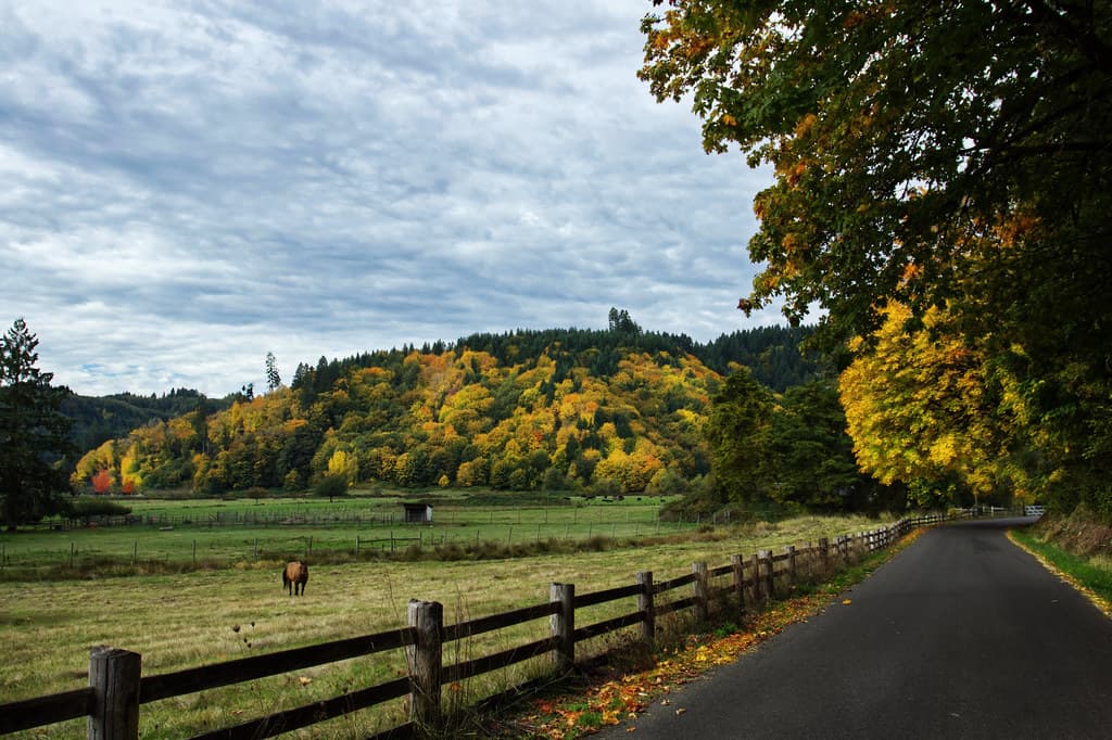 Coastal range farm in fall, Oregon