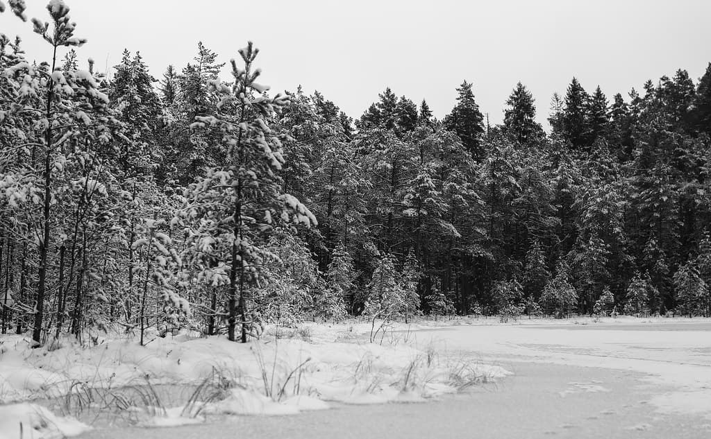 By the frozen lake.