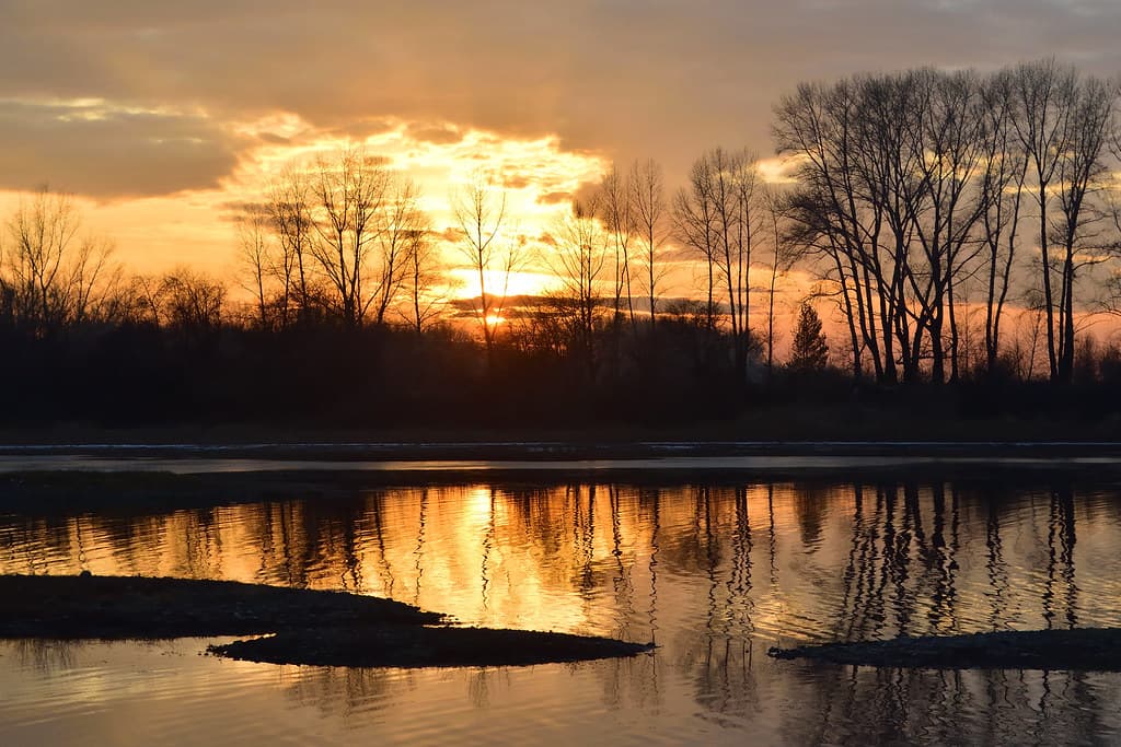 Autumn sunset on the river