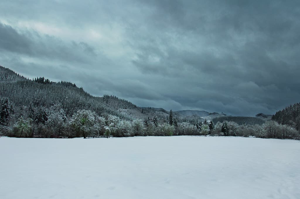 December snow, Oregon