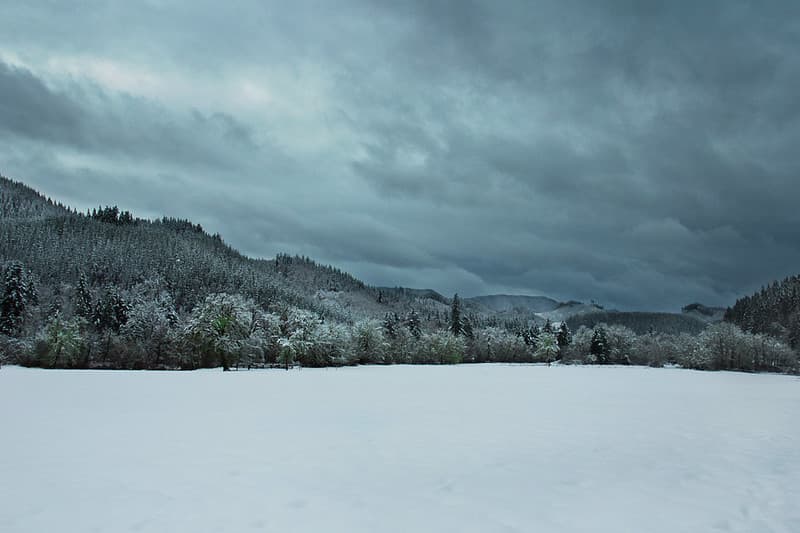 December snow, Oregon