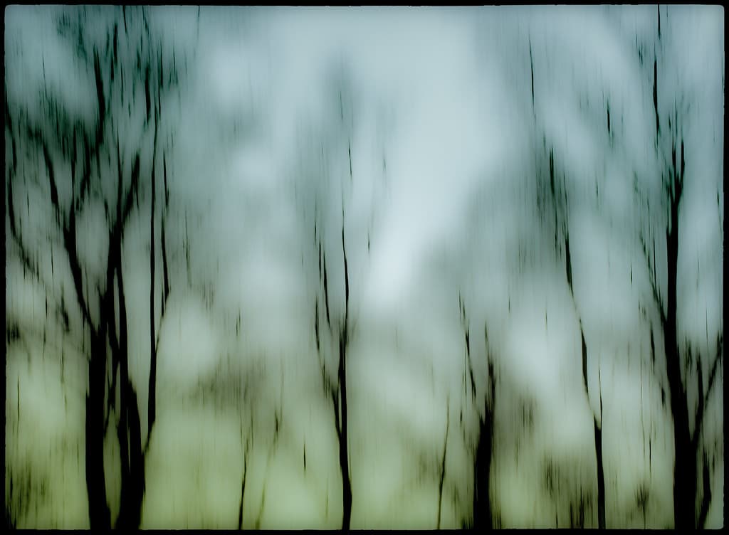 Trees