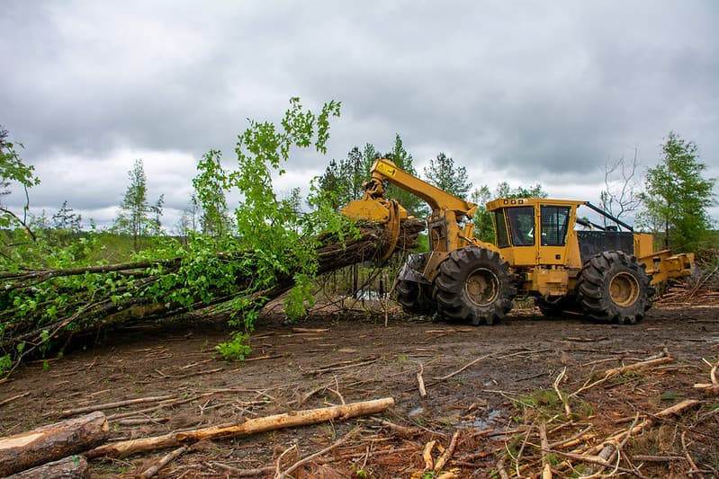 Skidder Forestry Machinery 2