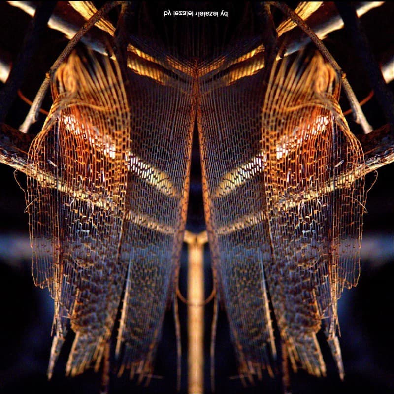 Abstract - The Fibre Wings