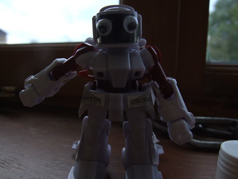 Robot