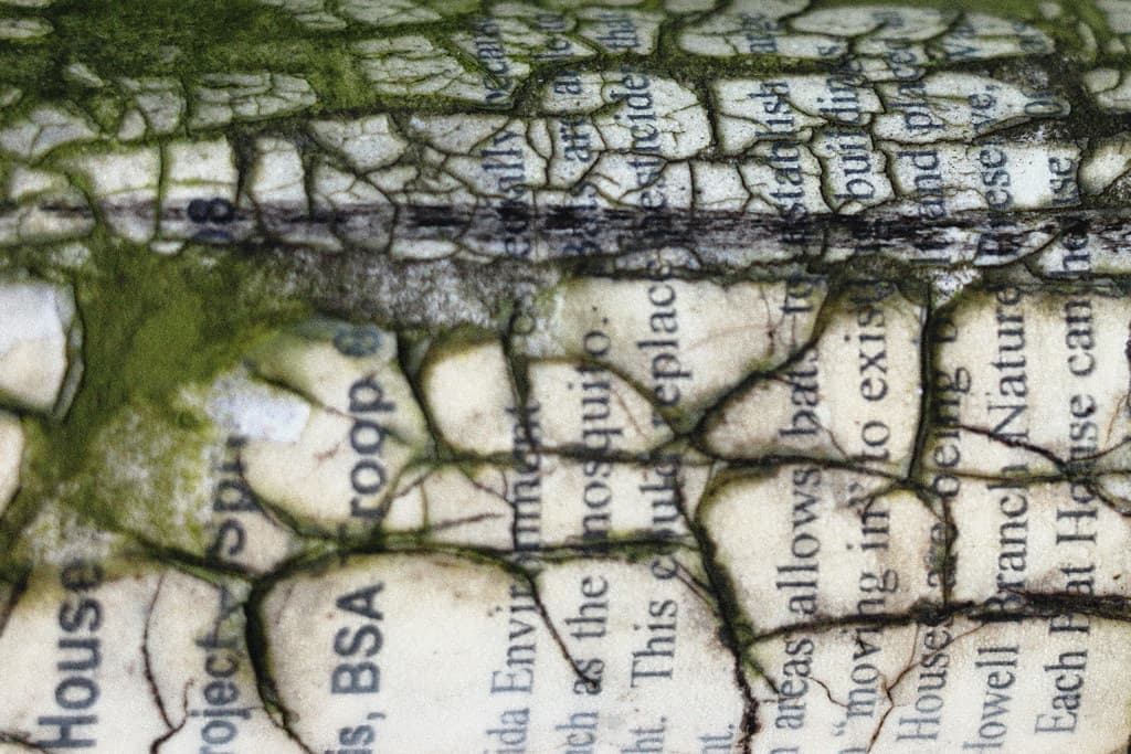 Free Image/Texture