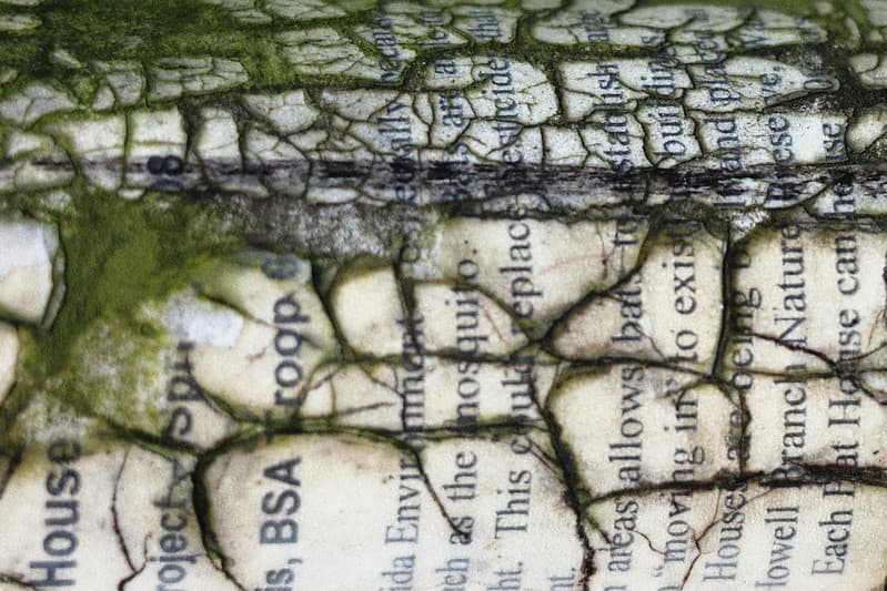 Free Image/Texture