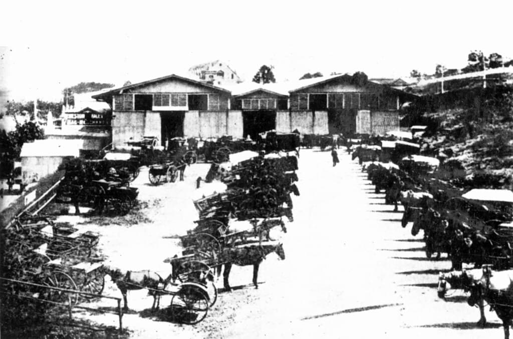 Old Roma street markets, Brisbane 1886