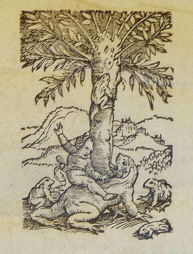 Woodcut printer's device of Christoph Froschauer of Zurich