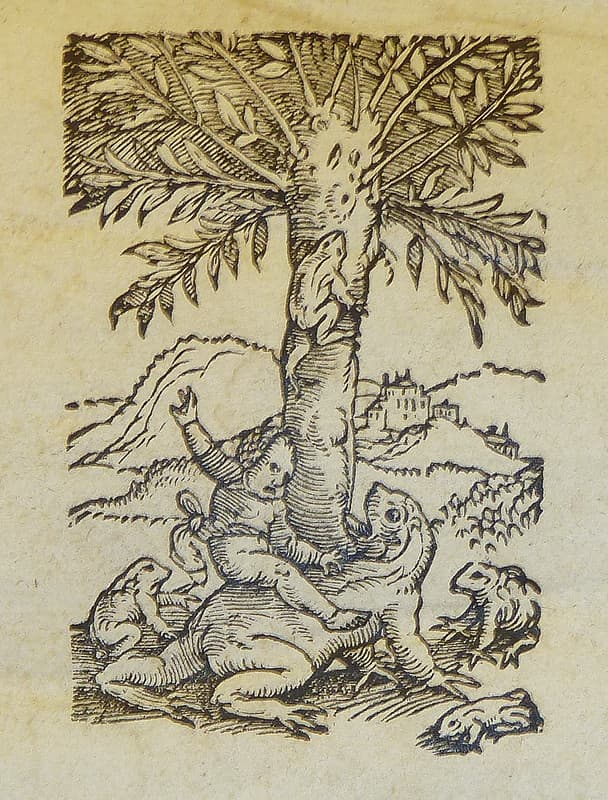 Woodcut printer's device of Christoph Froschauer of Zurich