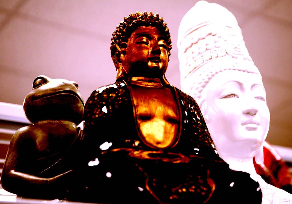 Americanbuddhism, animalstudent, auroraavenue