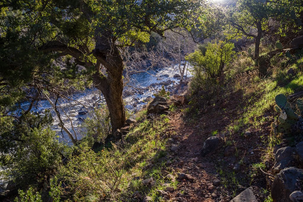 Woods Canyon Trail No. 93